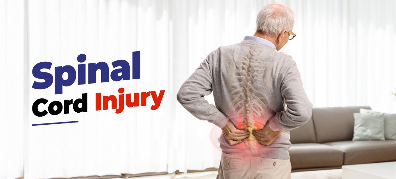 Spinal Cord